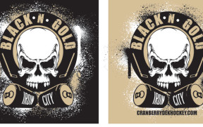 blackngoldhockey